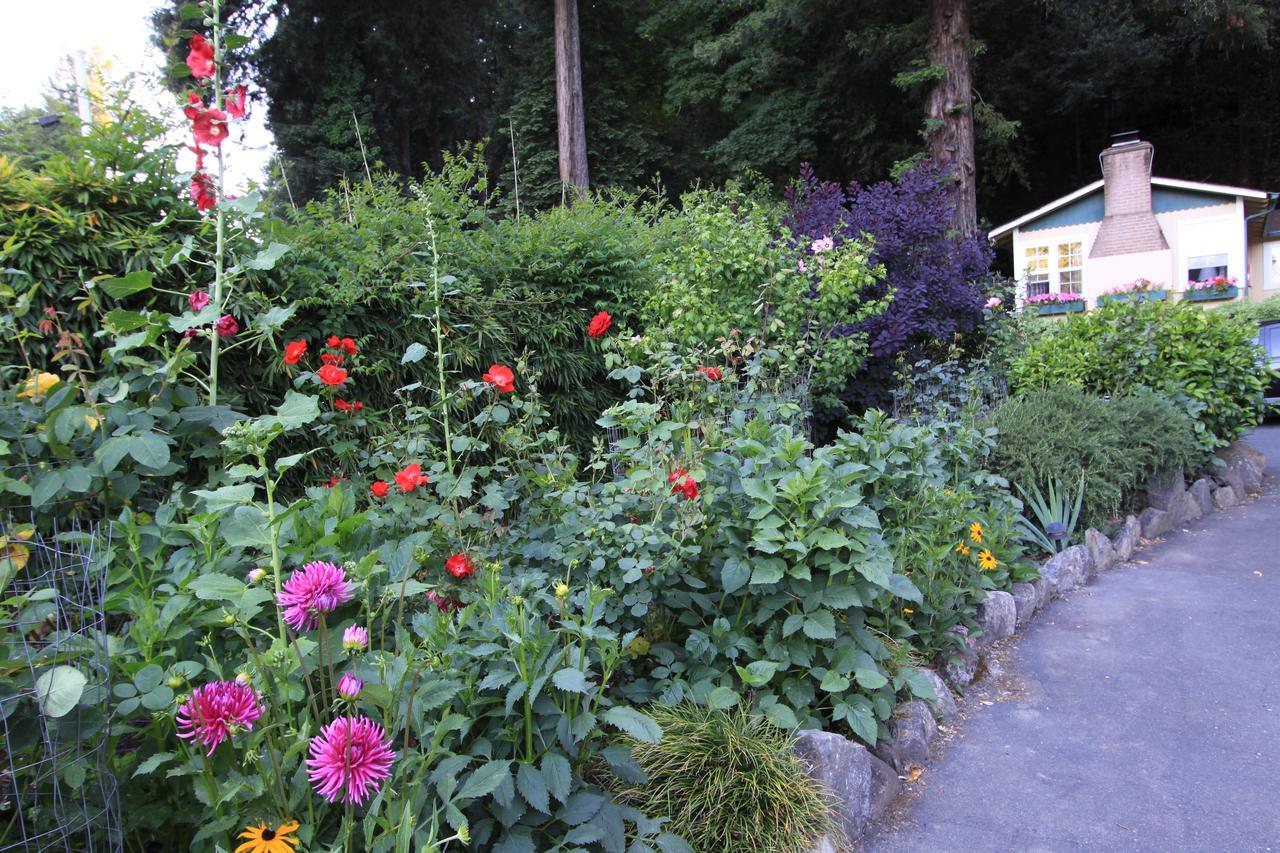Fern Grove Cottages Guerneville Exterior foto