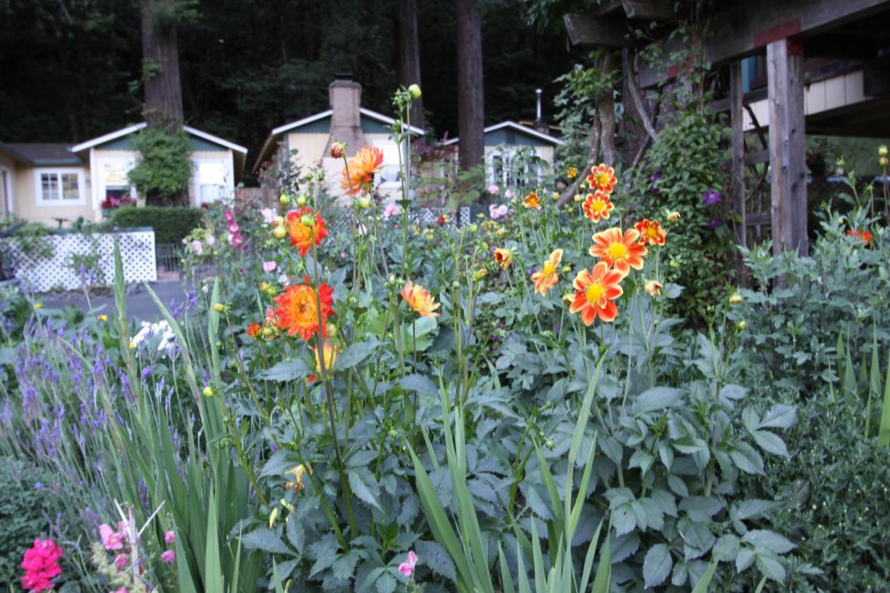 Fern Grove Cottages Guerneville Exterior foto